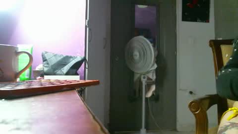 Camilla online show from December 2024 01:55:02 PM