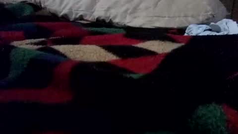 McDick online show from March 2026 08:26:33 AM