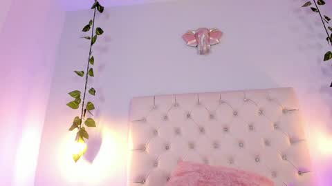   online show from January 2025 02:41:01 AM