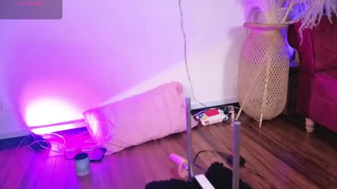   online show from April 2026 10:32:01 AM