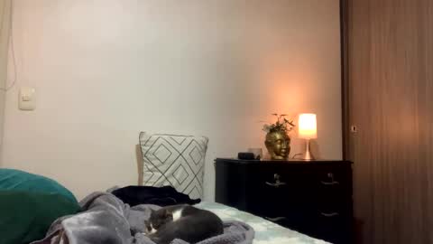 Isa online show from October 2025 12:20:01 AM