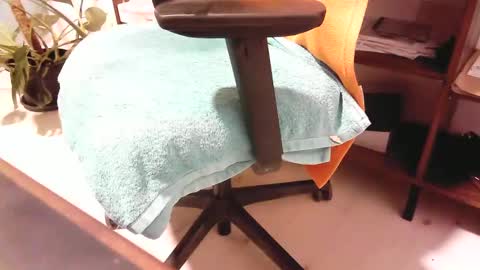 islandforfun online show from November 2025 01:01:02 PM