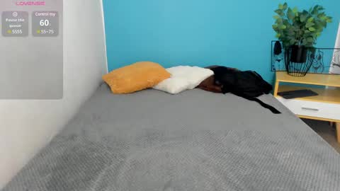 Issa  online show from February 2025 12:23:02 PM