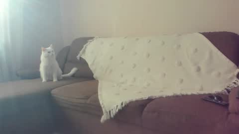 Issabelle online show from October 2025 07:10:02 AM