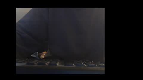 ital25usa online show from January 2026 02:11:01 PM