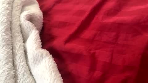 itsjayyourbae online show from November 2025 02:05:01 PM