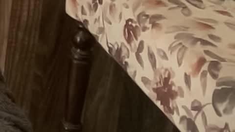 Raje online show from November 2025 10:59:01 AM