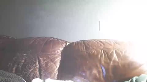 itstunechi online show from February 2025 07:27:02 AM