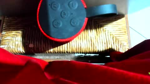 ivanaskats online show from December 2024 07:04:02 PM