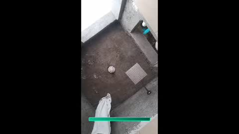 Aiv online show from November 2025 07:57:01 PM