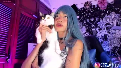   -    online show from February 2026 11:55:02 PM