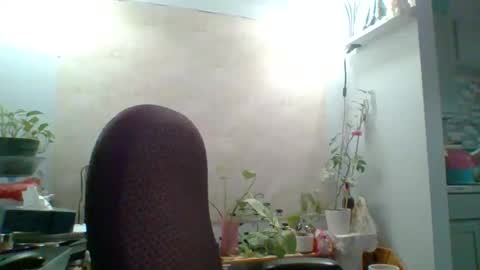 Snapshot of ivyjane3522 chatting on May 2026 02:00:01 PM ivyjane3522 online show from May 2026 02:00:01 PM