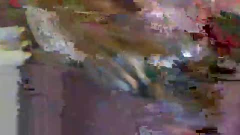 iwantthenutt online show from March 2026 02:50:01 AM