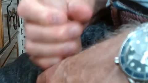ixtol online show from July 2026 11:52:01 AM