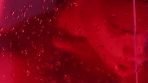 i am juan musiry independent model  online show from November 2025 12:04:02 PM