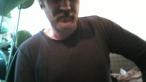 TR88 online show from February 2025 02:55:02 PM