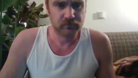 TR88 online show from February 2025 12:43:01 PM