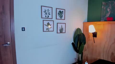 David online show from November 2025 03:17:02 AM