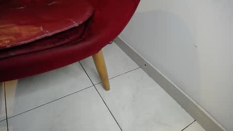 Jack Howards online show from March 2026 02:04:02 AM