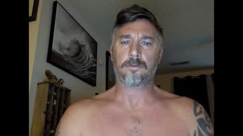 jackhammerhead online show from December 2024 02:04:01 PM