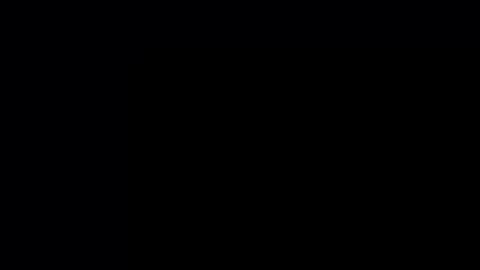 jackjackerman online show from October 2025 04:36:02 PM