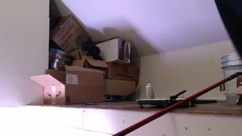 funtimes49203 online show from January 2025 01:29:01 PM