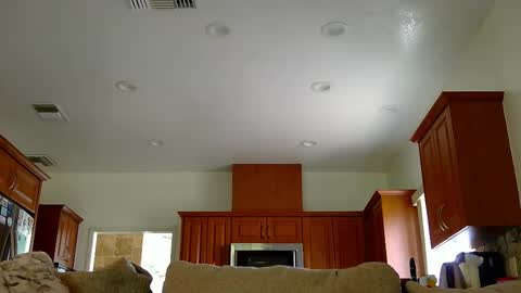 Snapshot of jacktome369 chatting on November 2025 07:58:01 PM jacktome369 online show from November 2025 07:58:01 PM