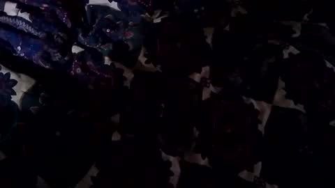 Snapshot of jadon2bnu2nt chatting on February 2025 04:11:02 PM Jason online show from February 2025 04:11:02 PM