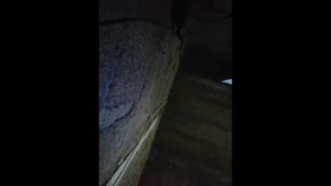 jaimepasivo777 online show from May 2026 07:27:02 AM