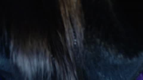 jalea_real_69 online show from July 2026 06:50:01 AM