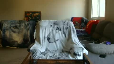 jameswolf777 online show from February 2026 08:57:02 PM