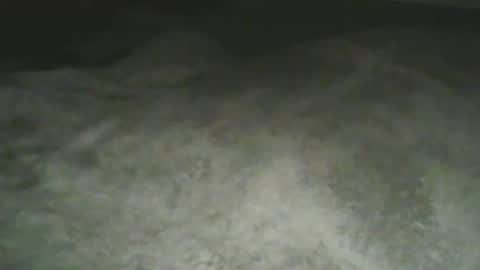 Snapshot of jamieslut69 chatting on January 2025 04:39:01 PM jamieslut69 online show from January 2025 04:39:01 PM