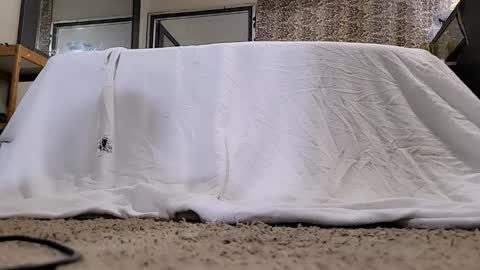 Bootyshows online show from March 2026 11:27:01 AM