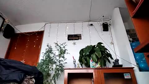 janariivera1 online show from February 2026 02:44:02 PM