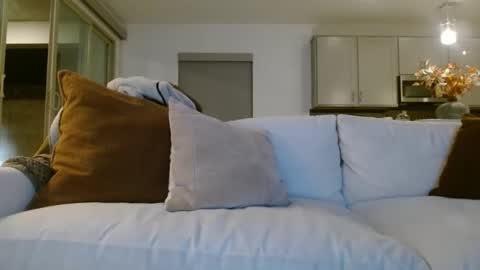 Jason Sweets online show from January 2026 03:09:02 AM