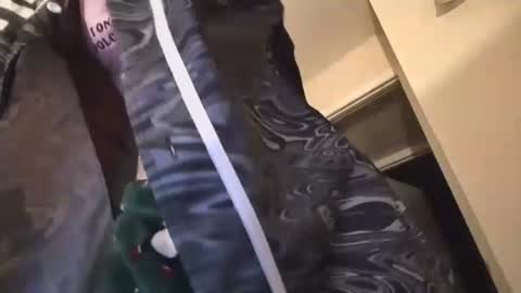 Snapshot of jasper1thewhor3 chatting on October 2025 05:04:02 AM jasper1thewhor3 online show from October 2025 05:04:02 AM