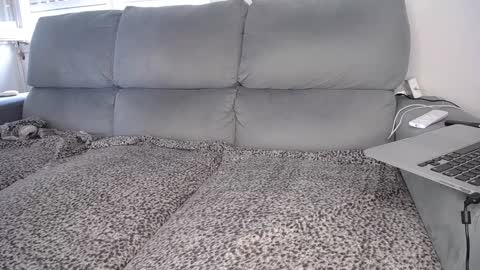 Javier  online show from December 2024 04:47:01 PM