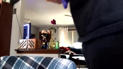 Jaws  online show from March 2026 09:21:02 PM