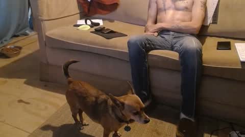 O F   jay short786 online show from February 2025 11:24:02 PM