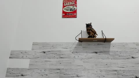 Jaycreedd online show from September 2025 12:33:02 AM