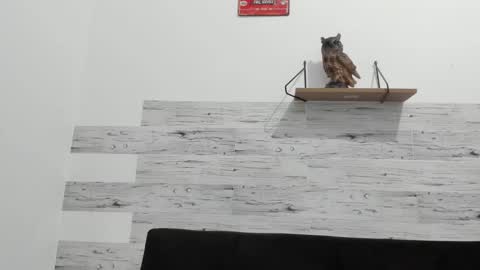 Jaycreedd online show from September 2025 02:37:02 AM