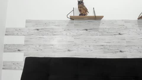 Jaycreedd online show from October 2025 04:15:02 AM