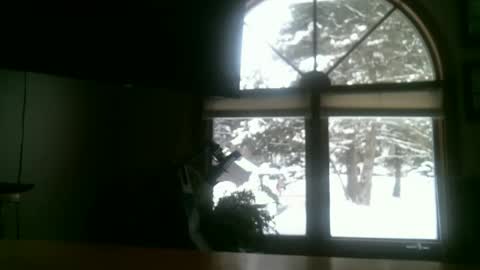 Snapshot of jeffbte315 chatting on February 2025 02:21:01 PM jeffbate online show from February 2025 02:21:01 PM