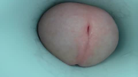 jeffrodgerschaturbat online show from February 2026 06:11:01 AM