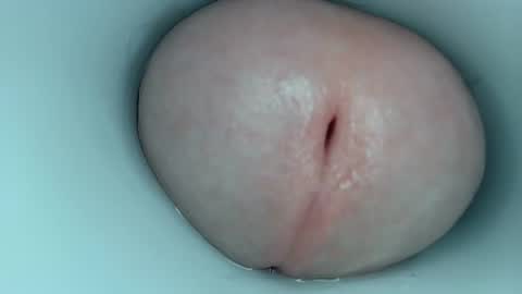 jeffrodgerschaturbat online show from March 2026 03:33:02 AM