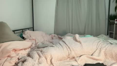 Snapshot of jenni_cash chatting on December 2024 06:47:01 AM Mistress Jenni online show from December 2024 06:47:01 AM