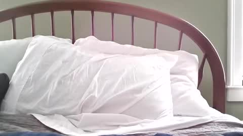 Snapshot of jerkingmanforyou chatting on March 2026 01:39:01 PM jerkingmanforyou online show from March 2026 01:39:01 PM