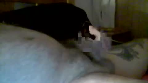 Snapshot of jerkmate6666 chatting on January 2025 10:14:02 AM jerkmate6666 online show from January 2025 10:14:02 AM