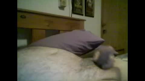 Snapshot of jerkmate6666 chatting on October 2025 02:34:02 AM jerkmate6666 online show from October 2025 02:34:02 AM