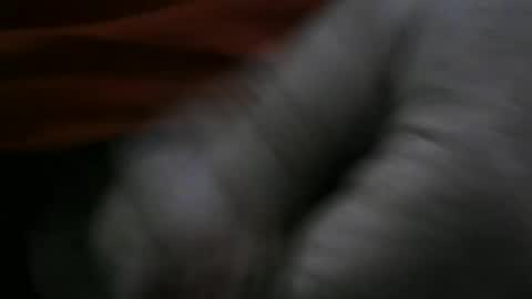 jerom111111111 online show from January 2025 02:24:02 PM